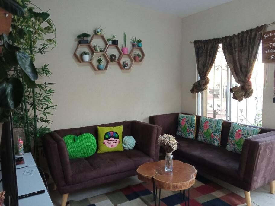 La Casa Del Pinito Apartment Сонсонате Екстериор снимка